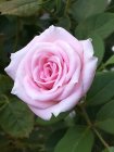 IMG_20230701_070048.jpg
